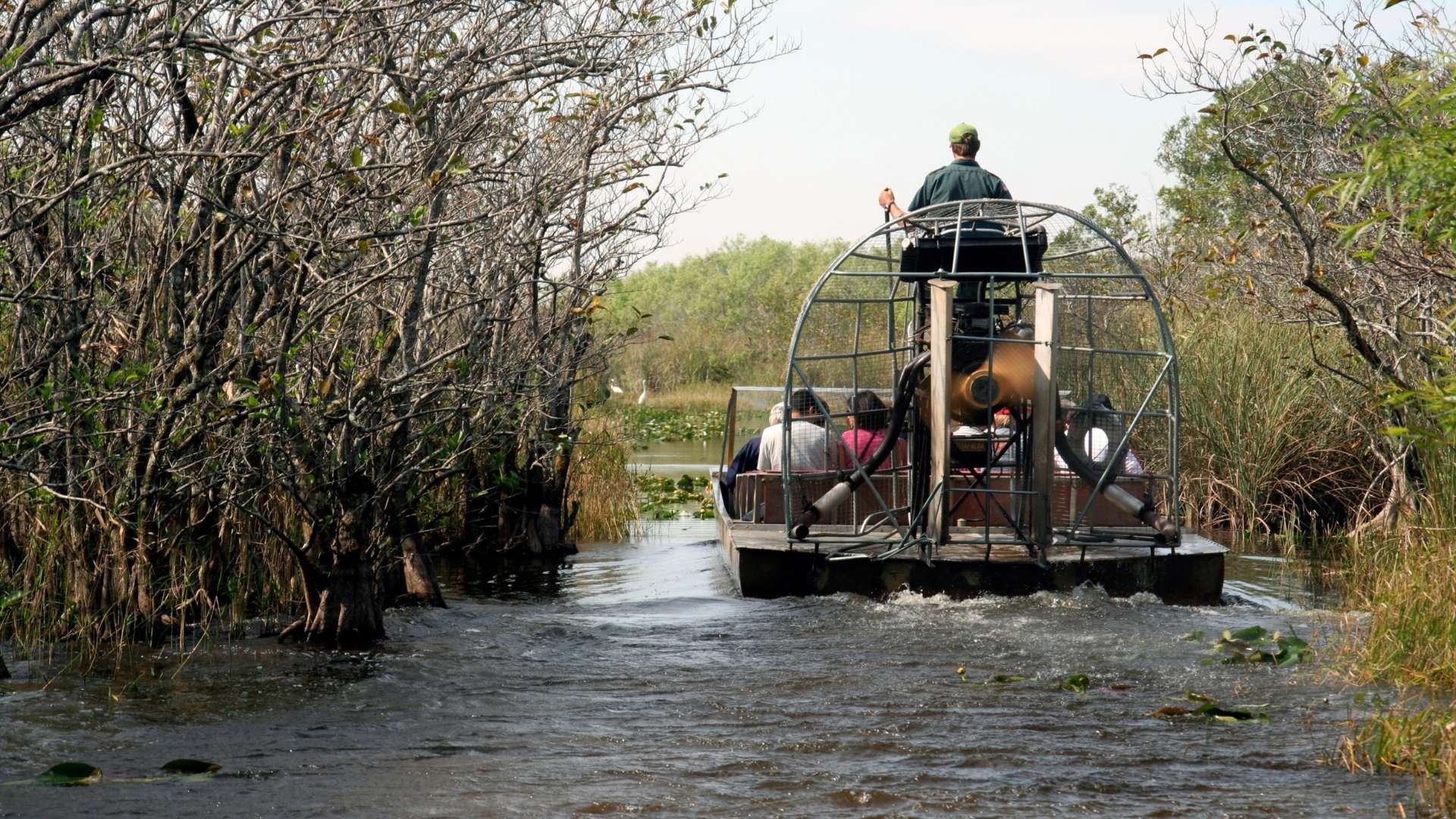 Vacation Rentals Near Everglades Day 2025 – Stay Close to Nature